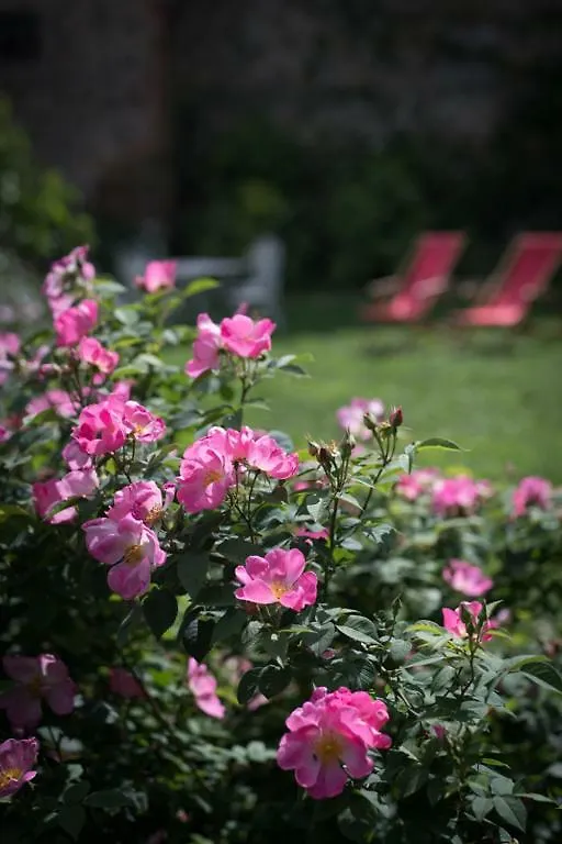 Bed & Breakfast La Canonica Di Nusenna Gaiole in Chianti